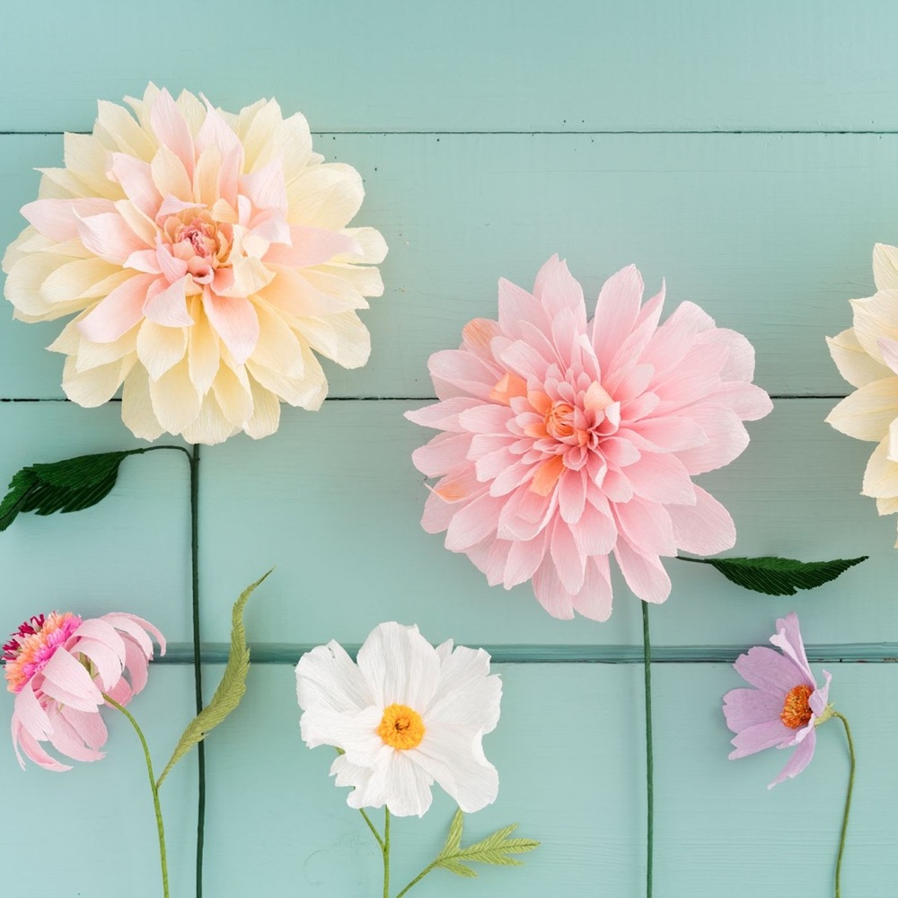 Meet your Posher, Alice